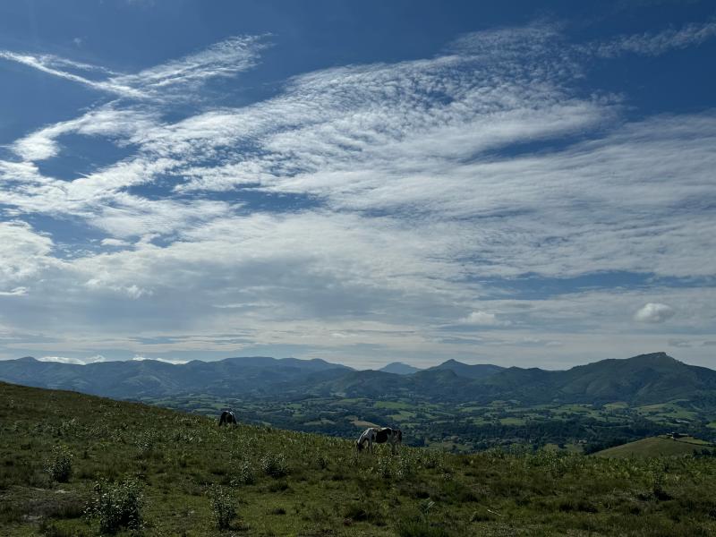 Hotel Indarra - Arbonne