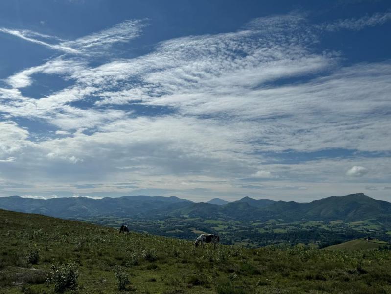 Hotel Indarra - Arbonne