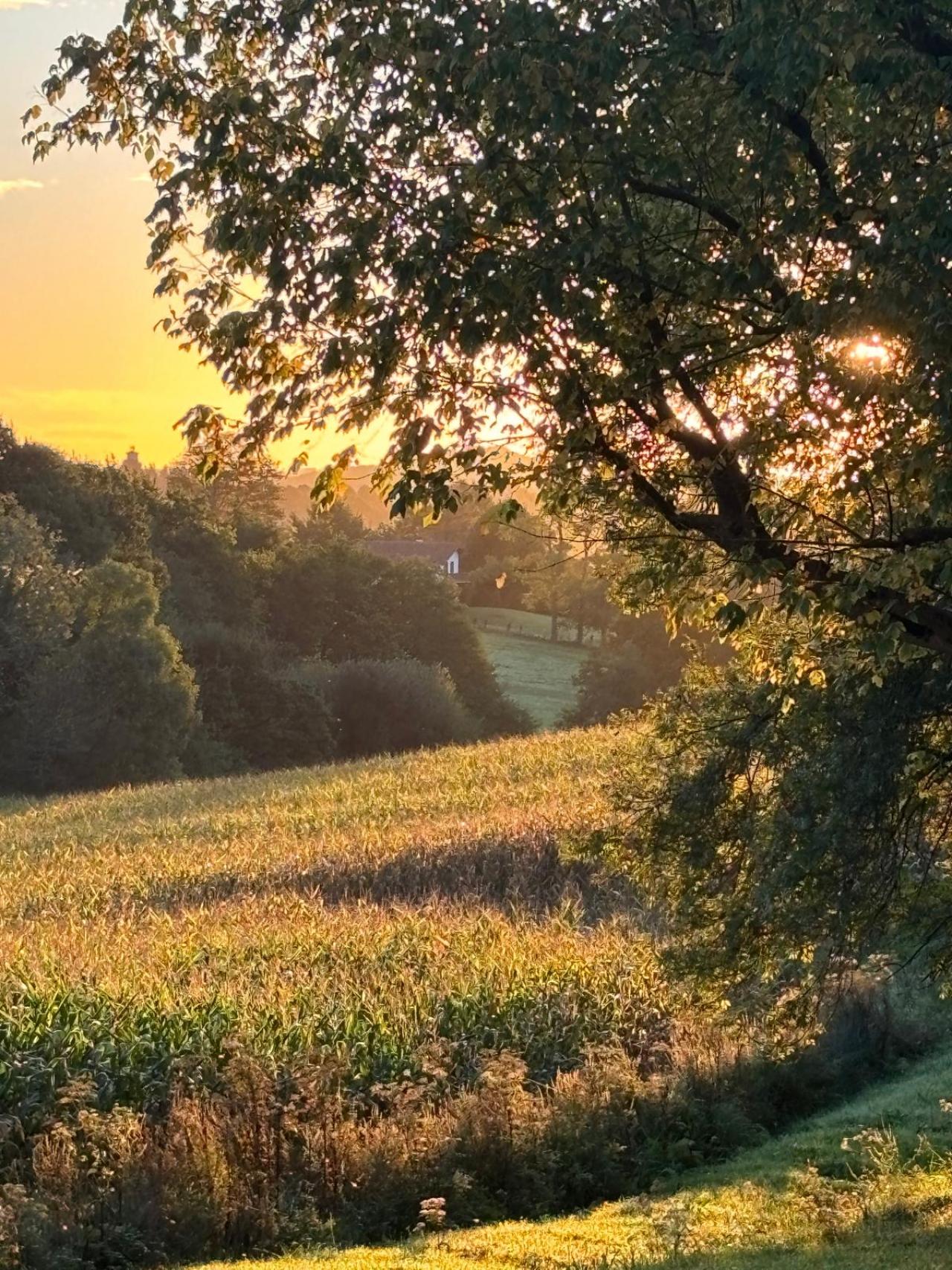 Hôtel Indarra - ENVIRONNEMENT