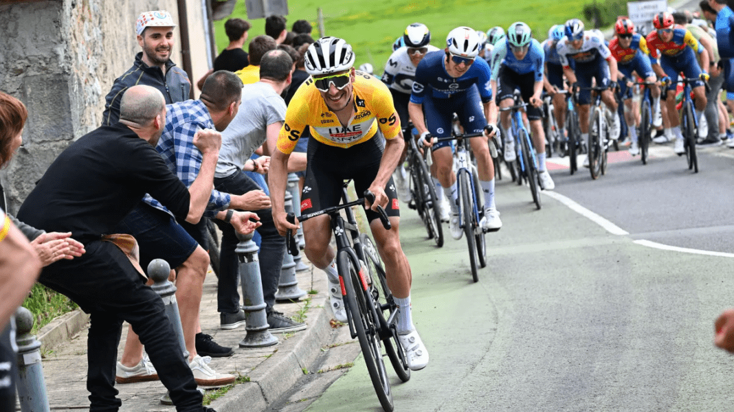 Hotel Indarra - Hotel_au_Pays_Basque